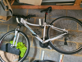 apollo spiral womens mountain bike 2017